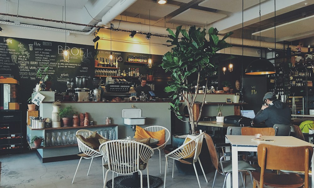Gün ışığı alan, ahşap masalı ve bitkilerle dekore edilmiş bir kafe
